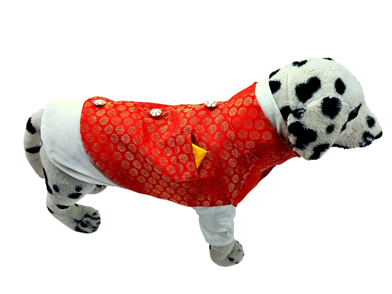 Dog Kurta