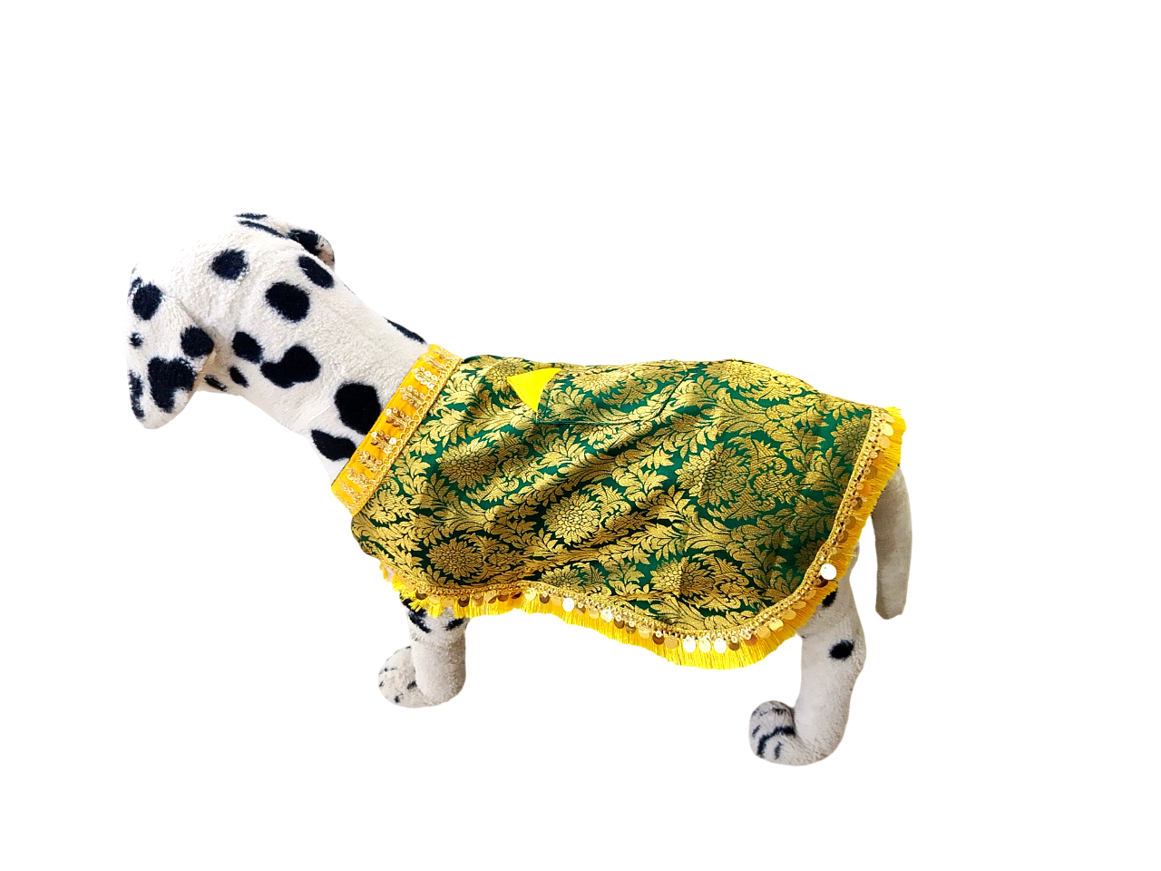 Dog Sherwani Dress Sherwani Wedding Dress
