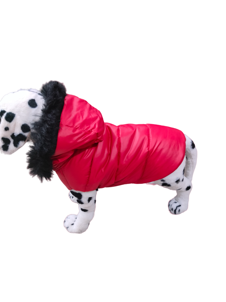Dog Jackets