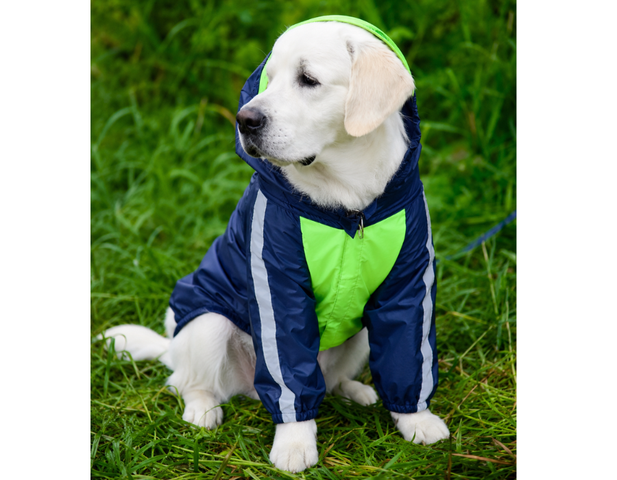 Dog Raincoat (Navy Blue Neon Green)
